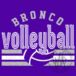 Bronco Volleyball Inline