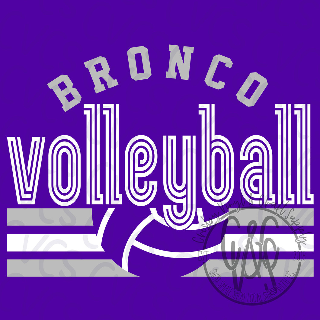 Bronco Volleyball Inline