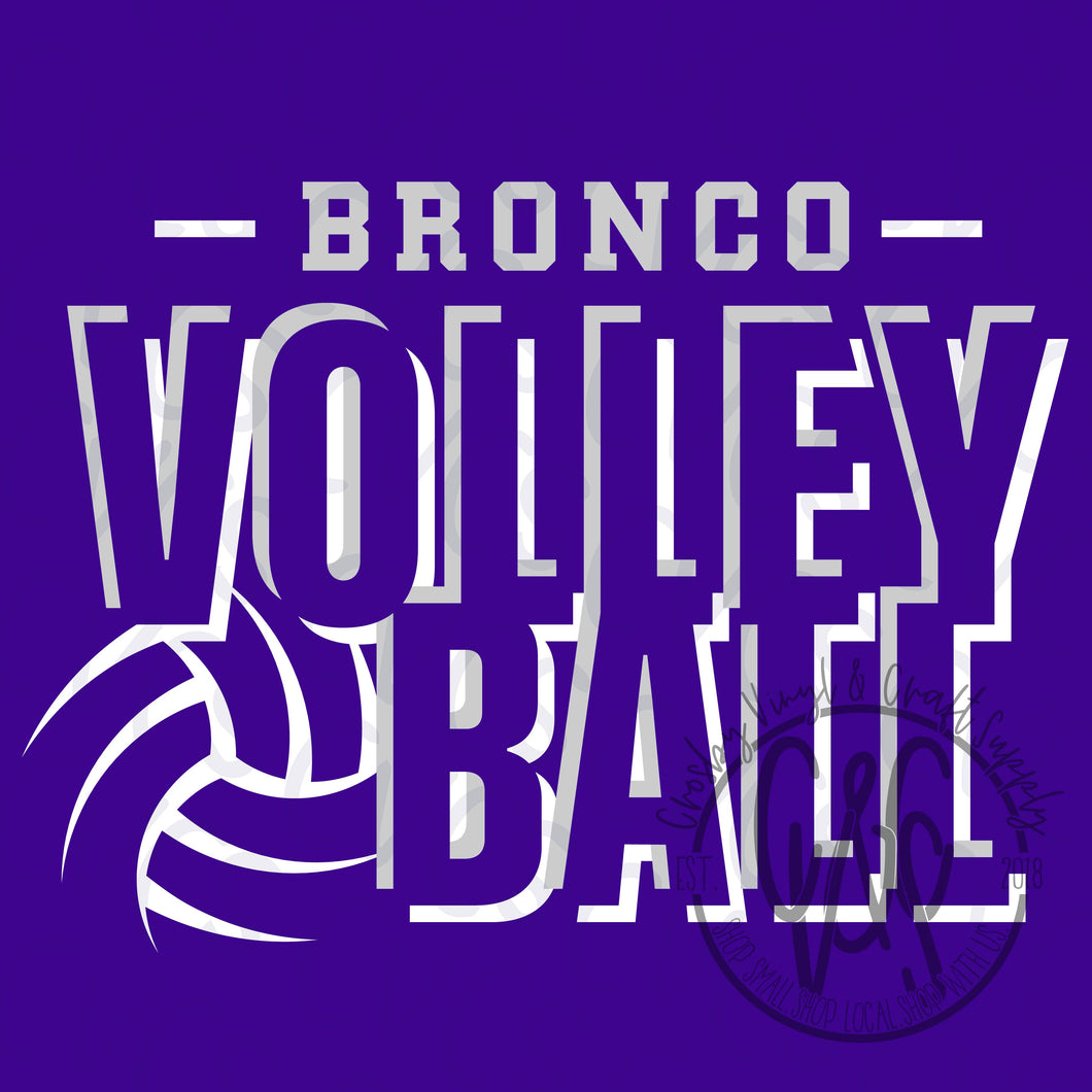 Bronco Volleyball