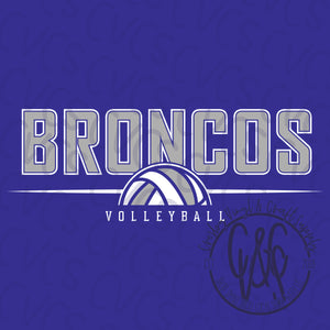 Broncos Volleyball Collegiate