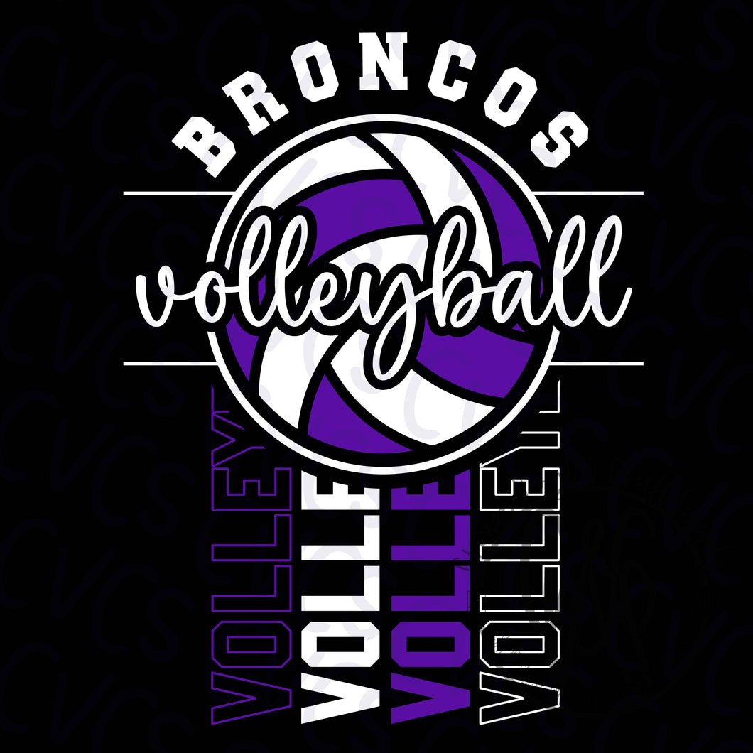 Broncos Volleyball Fan