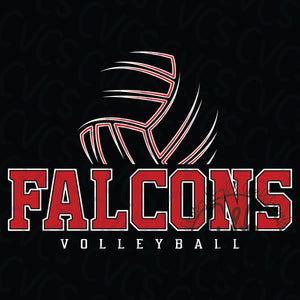 Falcons Volleyball Collegiate 2