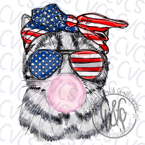 Patriotic Bubble Gum Cat