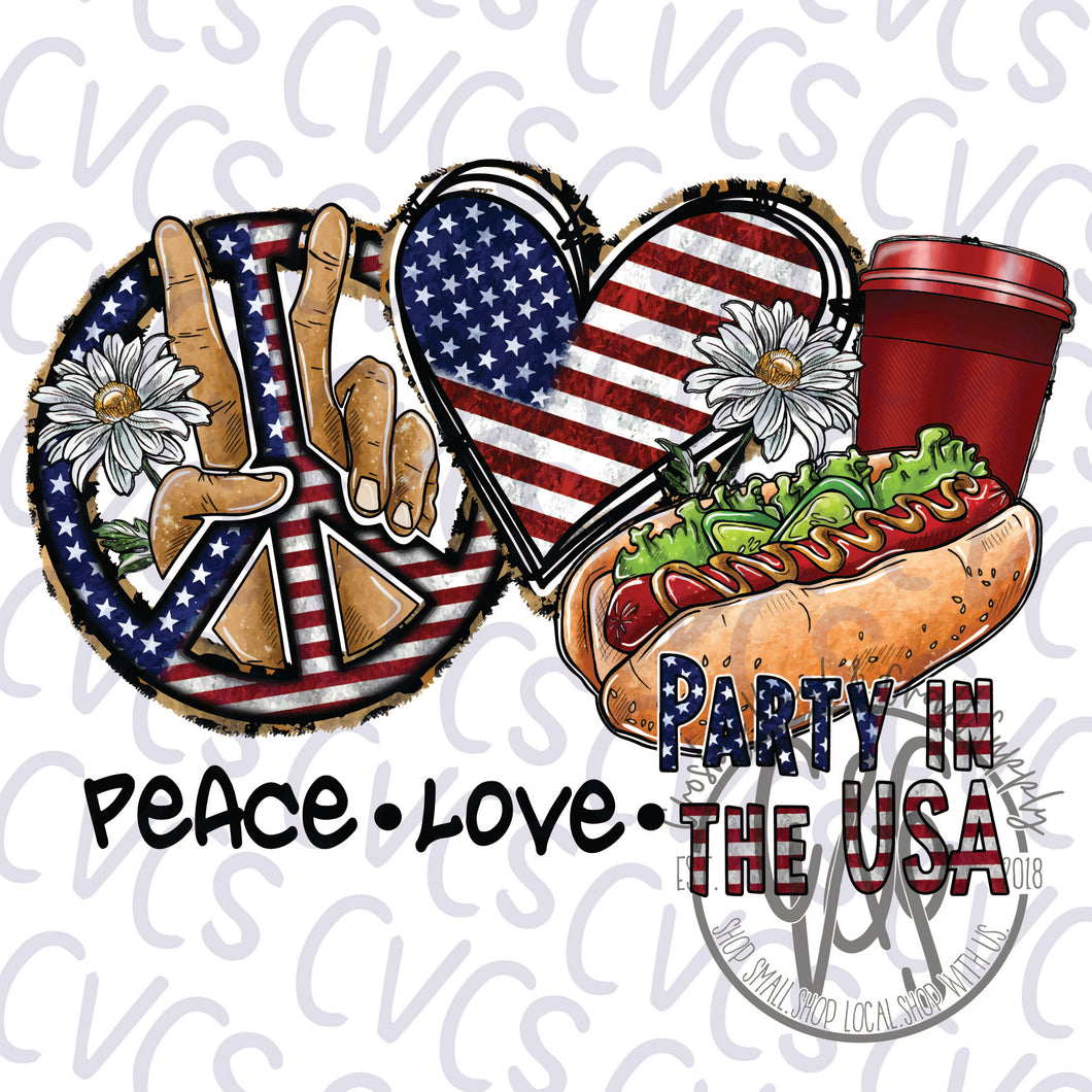 Peace Love Party In The USA