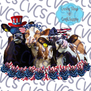 USA Cows